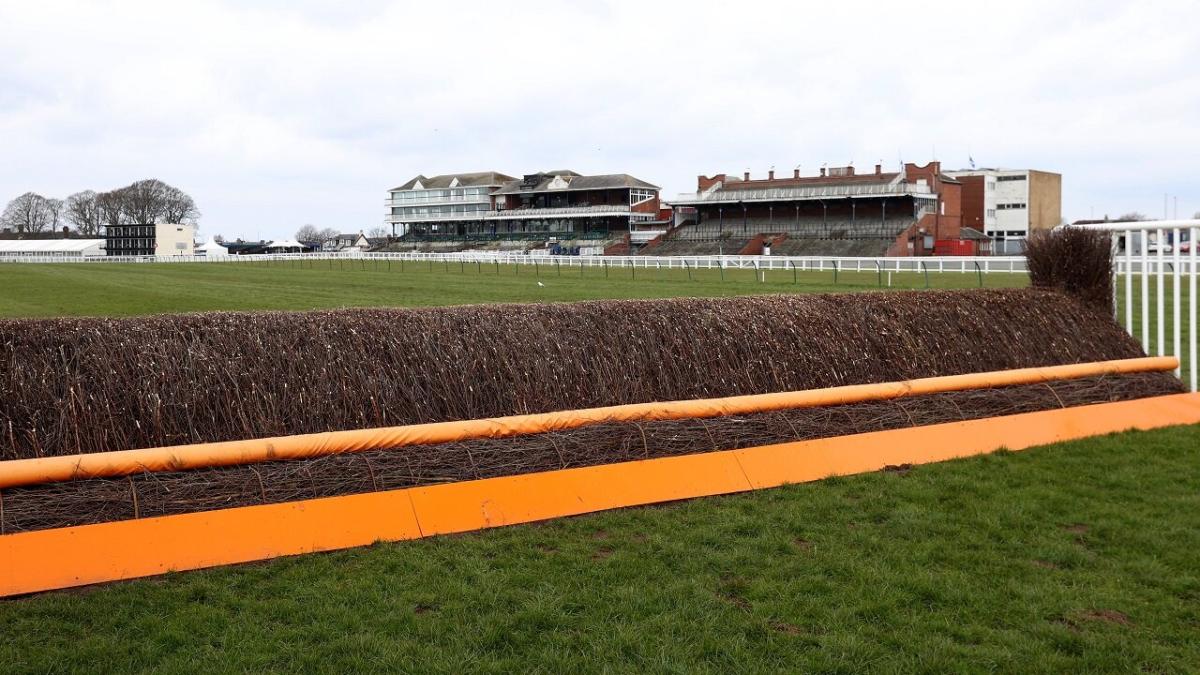 Racing at Ayr